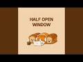 Half Open Window