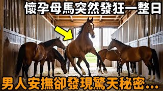 懷孕母馬在馬廄中突然發狂，男人上前安撫，卻發現了反常的驚天秘密！#馬 #馬廄 #反轉 #獵奇 #民間故事 #真實故事 #自然觀察日記