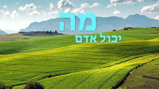 מה יכול אדם לעשות