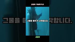 몸길이 15미터 고래가 선원들을 막아선 이유 #동물