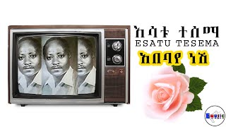 Esatu Tesema Abebaye Neshi እሳቱ ተሰማ አበባየ ነሺ @DawitTsige