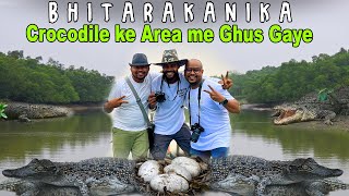 Bhitarkanika forest Boat Ride | 2nd Largest Mangrove forest of India | bhitarkanika national park