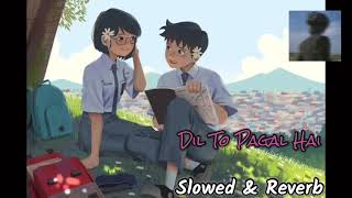 Dil to pagal hai lofi slowed & reverb | Romantic Song🎧🥰💫😇 #lofi #love #reverb #slowed #newsong