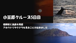 5日目　にっぽん丸　名古屋発着　春の小笠原クルーズ　2023年3月　6日間　乗船日記