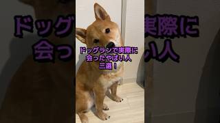 ドッグランで実際に会ったやばい人三選！#shorts #柴犬 #ドッグラン