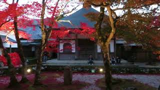 永源寺　紅葉　滋賀県