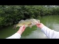 worst lures vs best lures bass fishing challenge insane