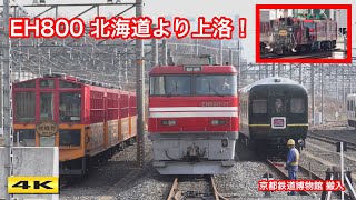 EH800形 青函トンネル専用機関車 京都鉄道博物館 搬入【4K】