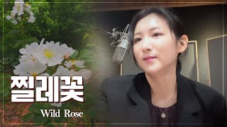 찔레꽃 / Wild Rose / 이윤아가 부르는 찔레꽃 [ 장사익 원곡 / Originally by Jang Saik ]