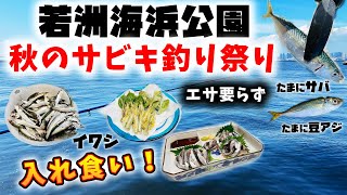 若洲海浜公園 入れ食い！エサ要らず！秋のサビキ釣り祭り！ - イワシ サバ 豆アジ など多魚種編 -