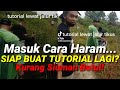 Siap Buat ‘Tutorial’ Lalu Lorong Tikus? Kurang Ajar Betul!