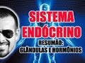 Sistema Endócrino - Resumão: Glândulas Endócrinas e Hormônios - Anatomia Humana - VideoAula 034