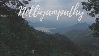 Drive To Nelliyampathy: Into The Wild | Part One