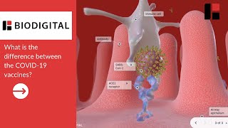 How do the COVID-19 vaccines work?