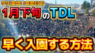 【超必見】学割チケット販売で激増した、ディズニーランドの朝の様子‼️早く入園する方法も徹底解説‼️