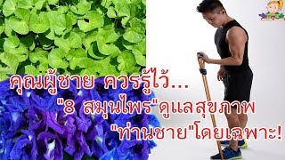 คุณผู้ชาย ควรรู้ไว้!! “8 สมุนไพร” มีไว้ดูแลสุขภาพ “ท่านชาย” โดยเฉพาะ!