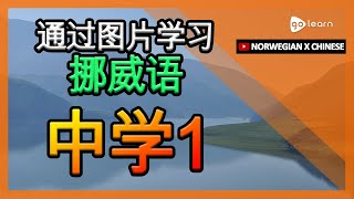 通过图片学习挪威语|挪威语词汇中学1 | Golearn