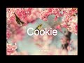 무료비트 봄 생각나는 펑키한 감성 비트 감성 힙합 비트 지코 x 빅나티 x 김승민 type beat emo hip hop l cookie prod. sloth