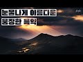 beautiful EPIC music motivation High-quality corporate Inspired Hopeful Building BGM Playlist