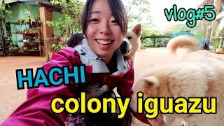 Visiting Japan in Paraguay(Iguazu)-VLOG#5パラグアイの日本、イグアス移住地