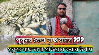 পুকুরে কেন মাছ ভাসে?|পুকুরে মাছ ভাসা প্রতিরোধ করার উপায়|পুকুরে পানির স্বাস্থ্য কিভাবে ঠিক রাখবেন???