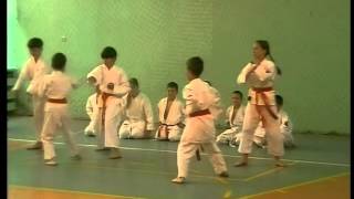 Pokaz sekcji karate psp 7