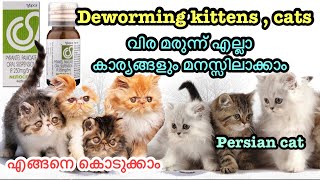 Deworming kittens and cats | പൂച്ച കുഞ്ഞുങ്ങൾക്ക് വിരമരുന്ന് നൽകാം | malayalam |