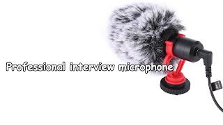 Professional interview microphone