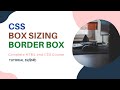 CSS |  Box Sizing: Border Box(HTML and CSS tutorial 55)