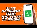 How To Save Document From WhatsApp On iPhone