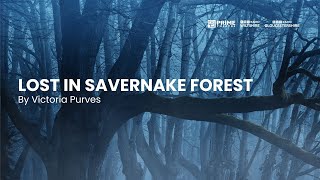 Lost in Savernake Forest by Victoria Purves