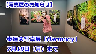 【秦達夫写真展】「Harmony」のお知らせ...7月19日まで（動画No.1056）