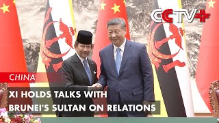 Xi Holds Talks with Brunei's Sultan on Relations