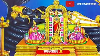 SRI SRINIVASA SRI VENKATESA SONG || TAMIL || PERUMAL SONG