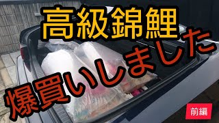 スーパー綺麗な錦鯉を購入しました！お金が無くなりました、、　錦鯉　爆買い　ハント　自宅池　アクアリウム　飼育　ปลาคราฟ