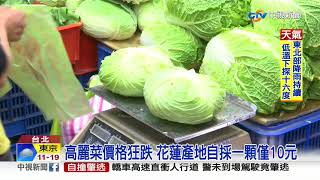 高麗菜價跌剩銅板價! 零售價一顆最低20多元│中視新聞 20191119