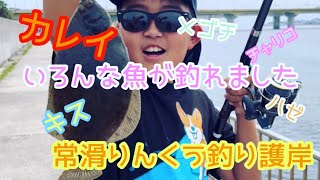 【常滑りんくう釣り護岸】いろんな魚が釣れました♪😆