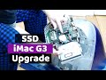 iMac G3 Modern SATA SSD Upgrade + Mac OS 9.2 Install (First Generation Tray Loading Grape iMac)