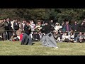 平成21年奉納日本古武道大会　柳生新陰流兵法　yagyu shinkage ryu heiho