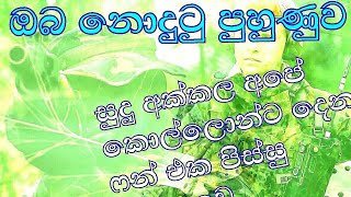 මනා පුහුණුව පූර්ණ සෙබලෙක් බිහිකරයි.හෙලන දහදිය ජීවිත ආරක්ෂා කරයි.සෙබල දැහැන/සෙබල පන්හිඳ ඔබේ නවාතැනයි