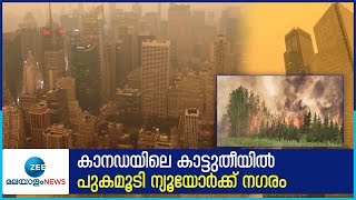 Canada News Today | കാനഡയിലെ കാട്ടുതീയിൽ പുകമൂടി ന്യൂയോർക്ക് നഗരം