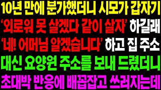 (실화사연) 10년 만에 분가 했더니 시모가 갑자기 외로워 못 살겠다며 같이 살자고 하길래 기막힌 아이디어를 떠올리는데../ 사이다 사연,  감동사연, 톡톡사연