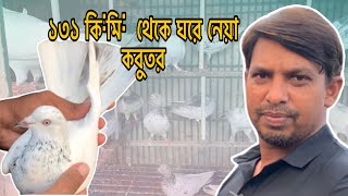 মোঃ সোহেল মোল্লা ভাইয়ের ১৩১ কিলো খেলা কবুতরের ঘরের বাচ্চা  ও ভাই এর কিছু  প্রিয় কবুতর  দেখলাম ।