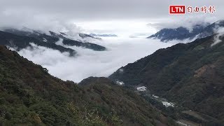 冬季限定！雪白雲瀑山谷漫湧 信義望高景致絕美(陳才毅提供畫面)