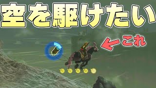 地上しか走ることのできない馬を空を駆け回るペガサスにすることはできるのか【ゼルダの伝説ティアーズオブザキングダム実況】