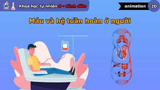 Máu và hệ tuần hoàn ở người - Khoa học tự nhiên lớp 8 - Bài 30 - Cánh diều - vninfographic.mp4