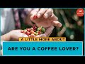 Coffee Plantation in India | A Little More About