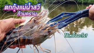 ตกกุ้งแม่น้ำธรรมชาติ | โดนไอ้ก้ามยักษ์😱🦐