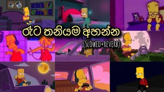 මනෝපාරකට සින්දු (slowed \u0026reverb) | sinhala songs collection | 😫🎧🤍