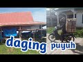 Cara beternak puyuh menjual daging puyuh